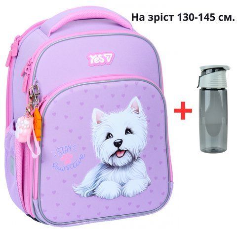 Рюкзак YES S-78M шкільний каркасний Stay Pawesome 550226 + пляшка для води 550мл. 000996354 фото